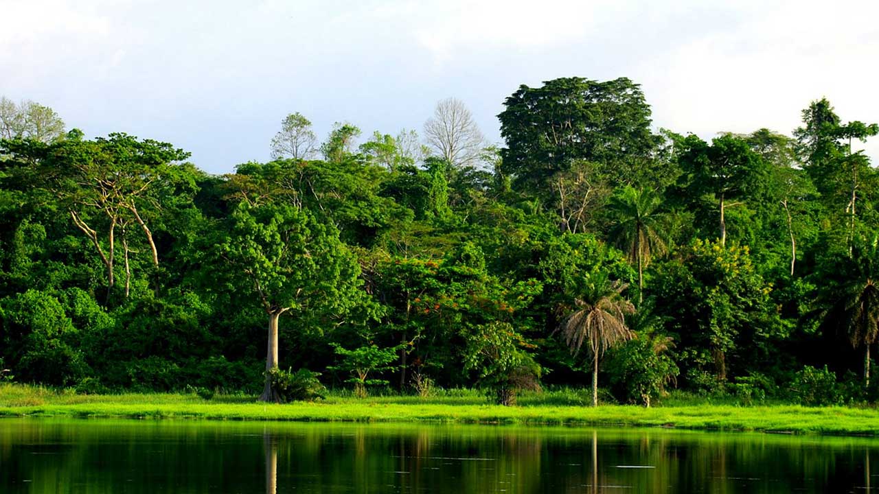 Forest Reserves in Cross River