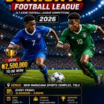 Nathaniel Idowu Foundation